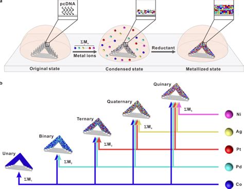 dna origami metalization reaction